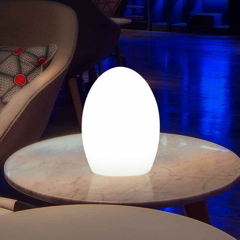 OEM Remote Control Egg Shape Led Table Lamp