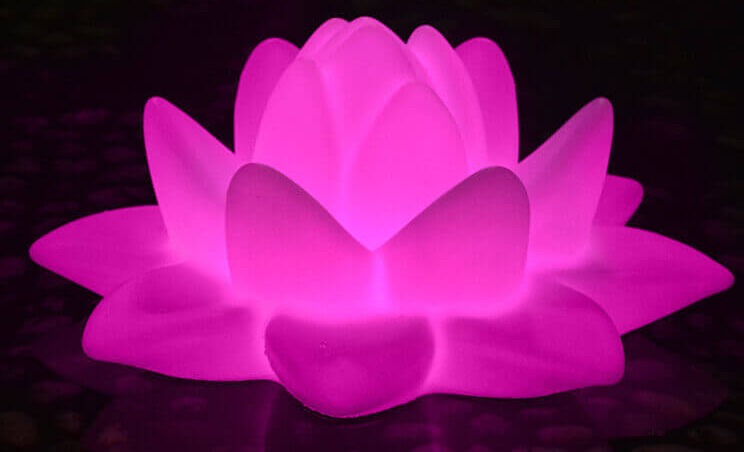 What Does The Lotus Lantern Represent?