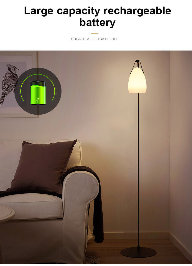 Custom Rechargeable Battery Cordless Portable Hanging Floor Lamp