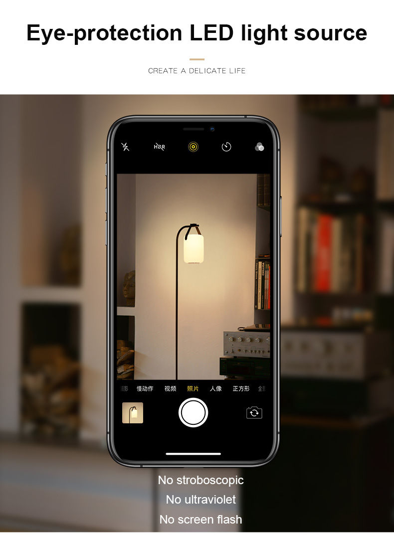 Custom Portable Tall Arched Standing Hanging LED Floor Lamp Custom Portable Tall Arched Standing Hanging LED Floor Lamp