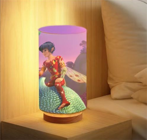 Custom Table Lamp | LED Table Lamp Manufacturer | Light Venus