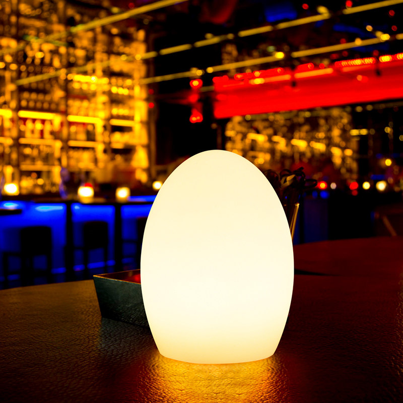 USB Rechargeable Egg Shape RGB LED Color Changing Cordless Table Lamp