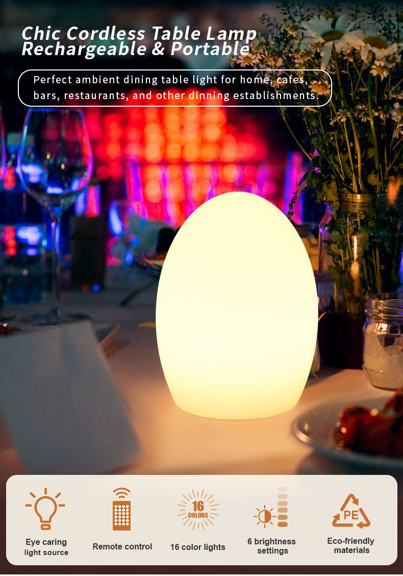 Rechargeable Table | Cordless Table Lamp | USB Table Lamp | Light Venus