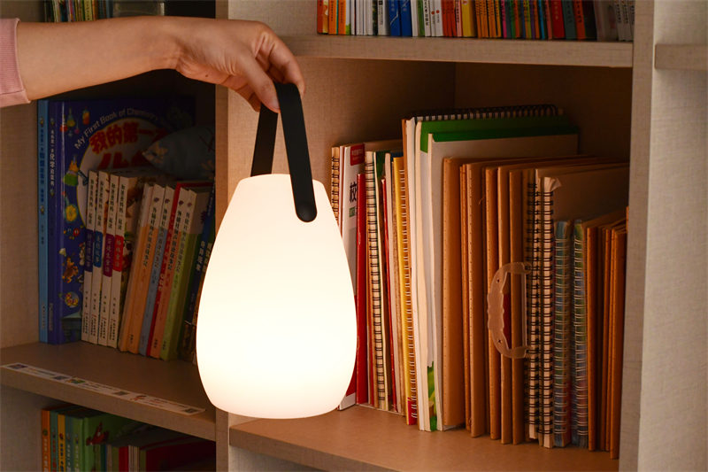 The Versatile Light Companion: The Portable Lamp