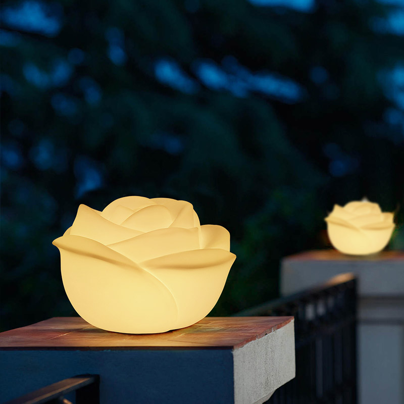 Decorative Lamp | Rose Table Lamp | Light Venus